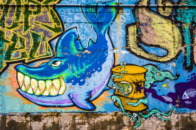 Colorful Wall Murals