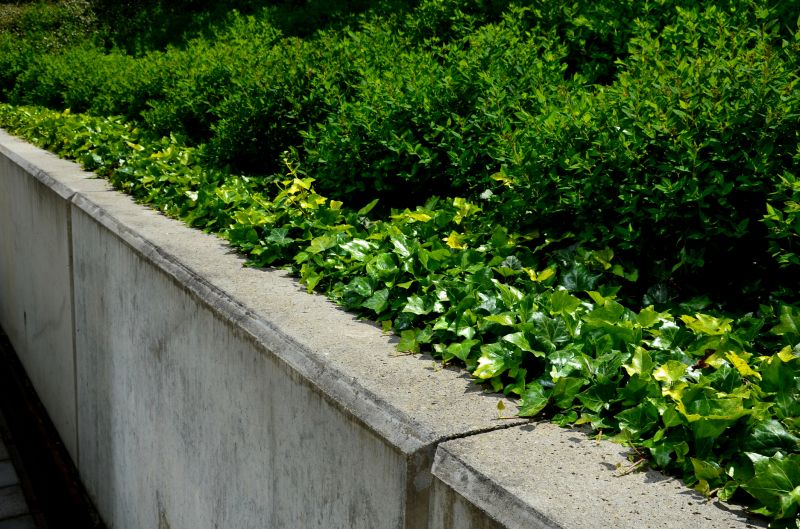 Outdoor Artistic Walls