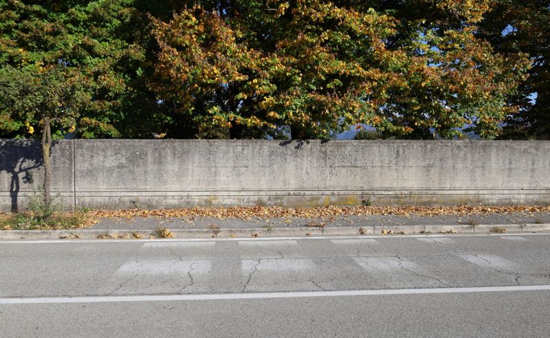 Outdoor Concrete Murals