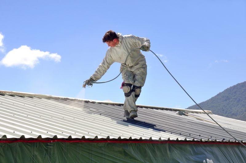 Roof Surface Painting